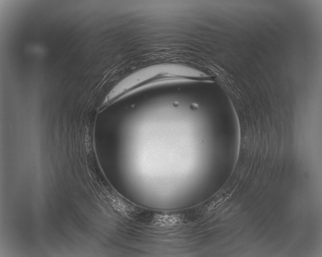 X0000053010469200507221318