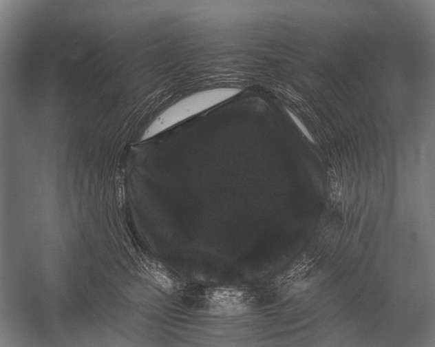 X0000053010471200507221318