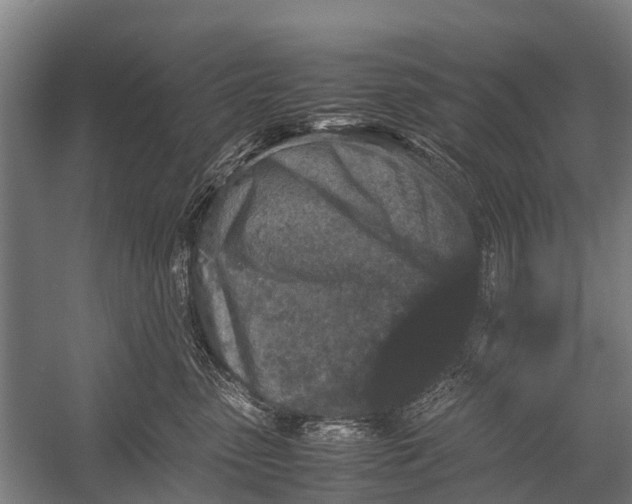 X0000053010475200507221318