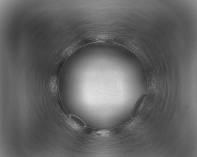 X0000053010478200507221318