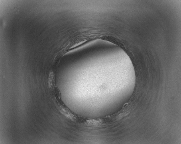 X0000053010480200507221318