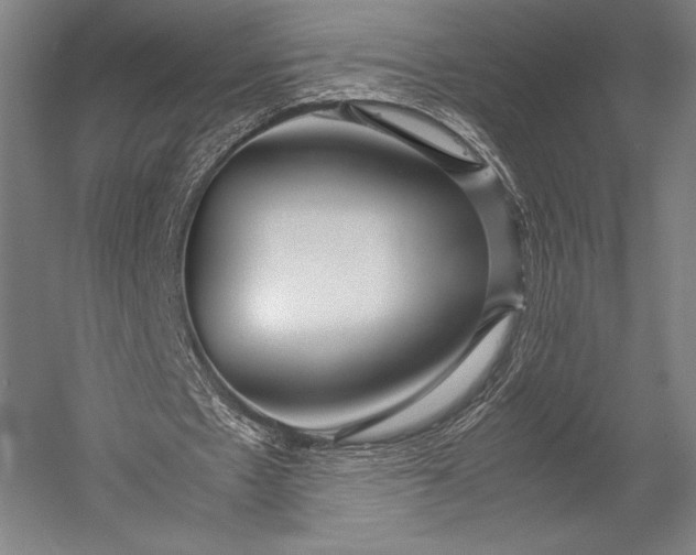 X0000053010481200507221317