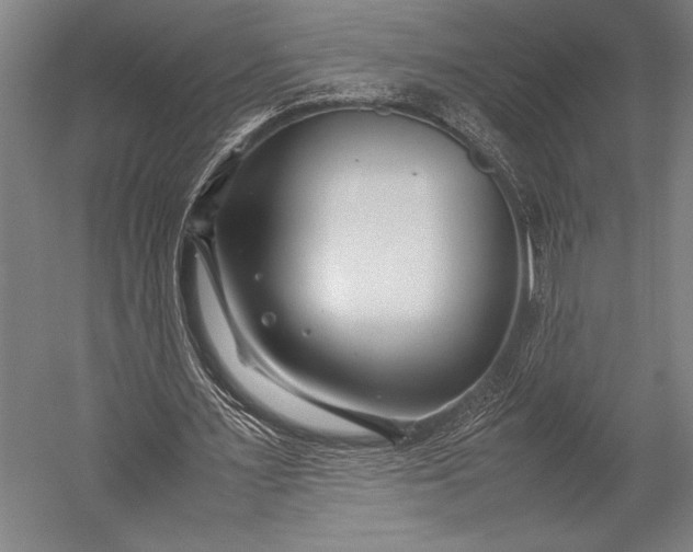 X0000053010483200507221317