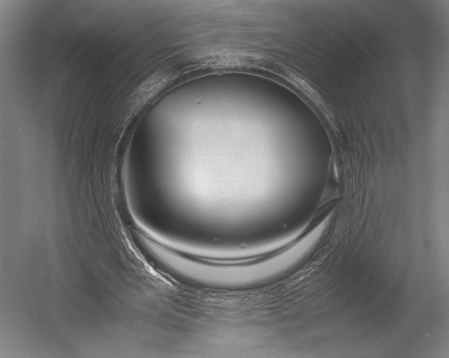 X0000053010485200507221317