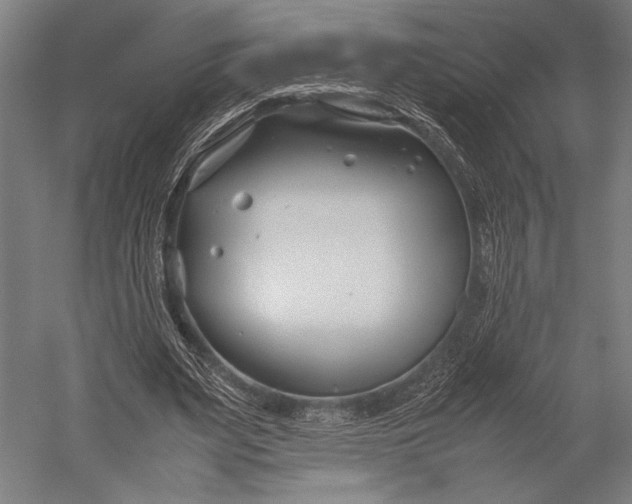 X0000053010487200507221317