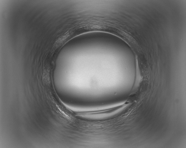 X0000053010489200507221317