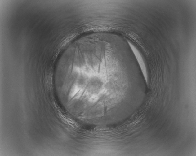 X0000053010491200507221317