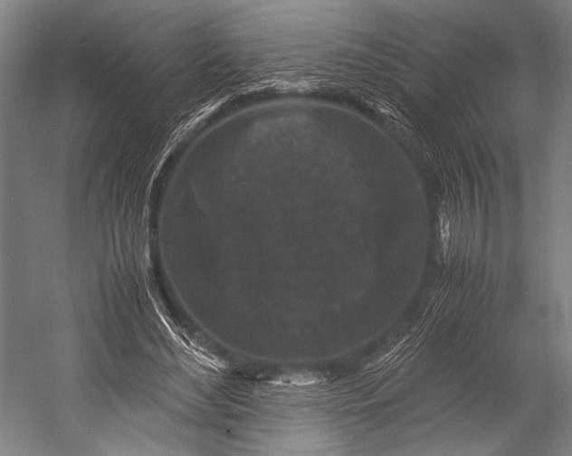 X0000053010492200507221317