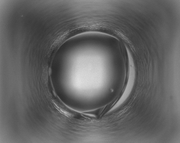 X0000053010493200507221317