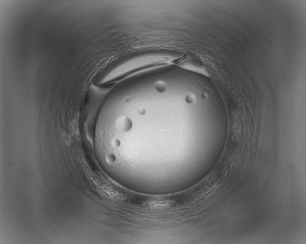 X0000053010495200507221317