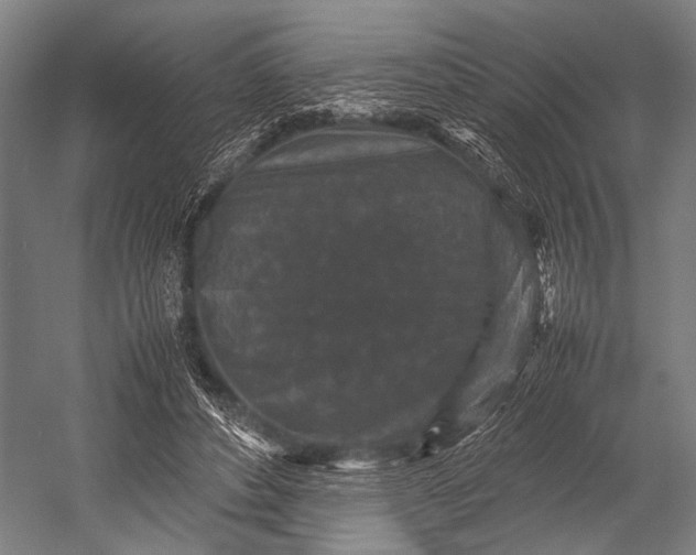 X0000053010496200507221317