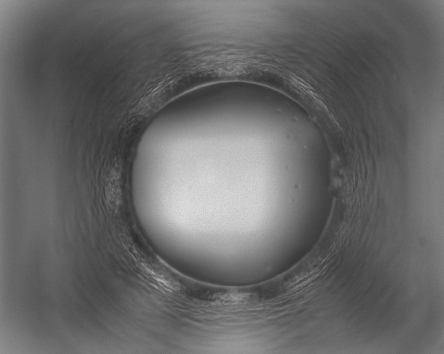 X0000053010497200507221317