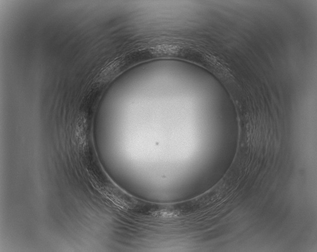 X0000053010498200507221317