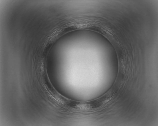 X0000053010499200507221317