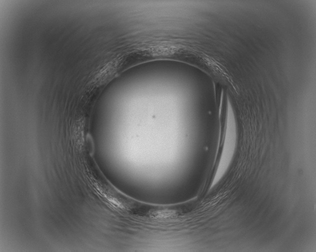 X0000053010501200507221317