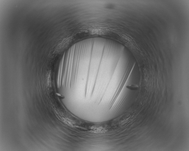 X0000053010502200507221317