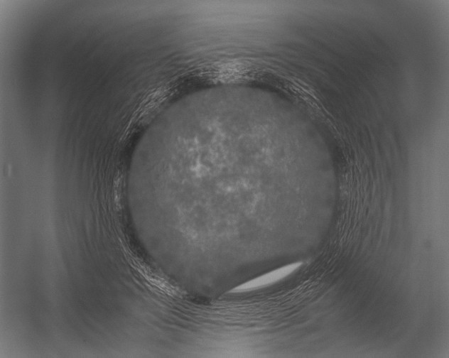 X0000053010503200507221317