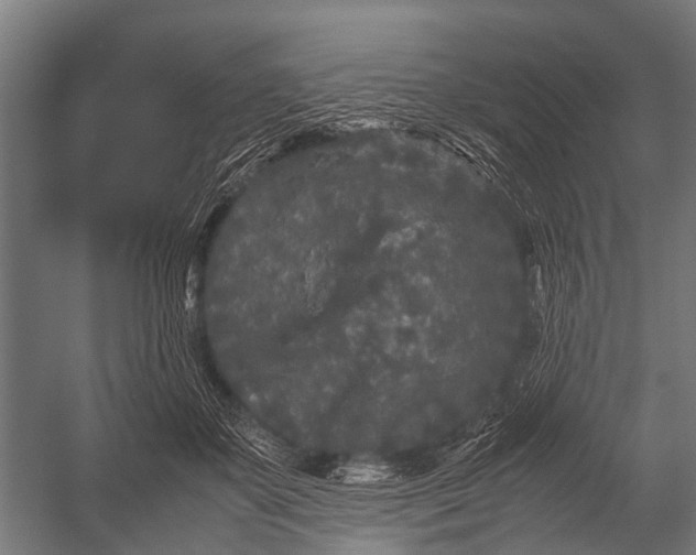 X0000053010507200507221317