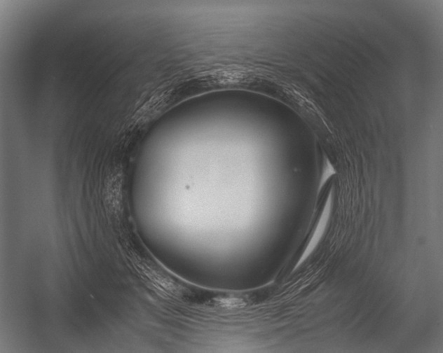 X0000053010509200507221317