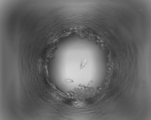 X0000053010511200507221317