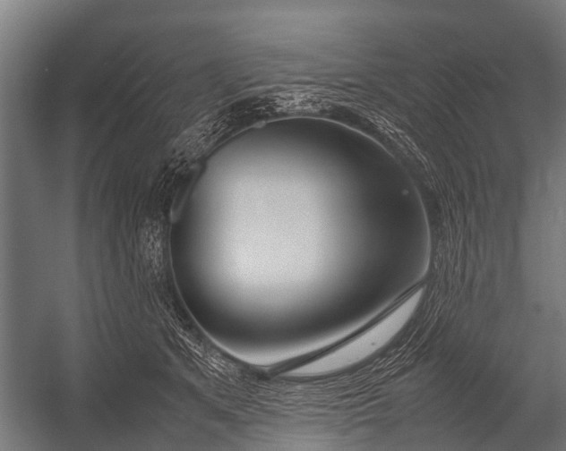 X0000053010513200507221317