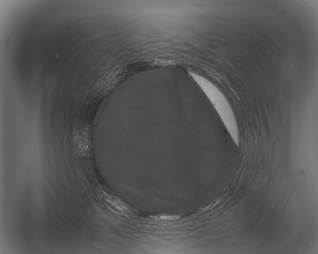 X0000053010517200507221317