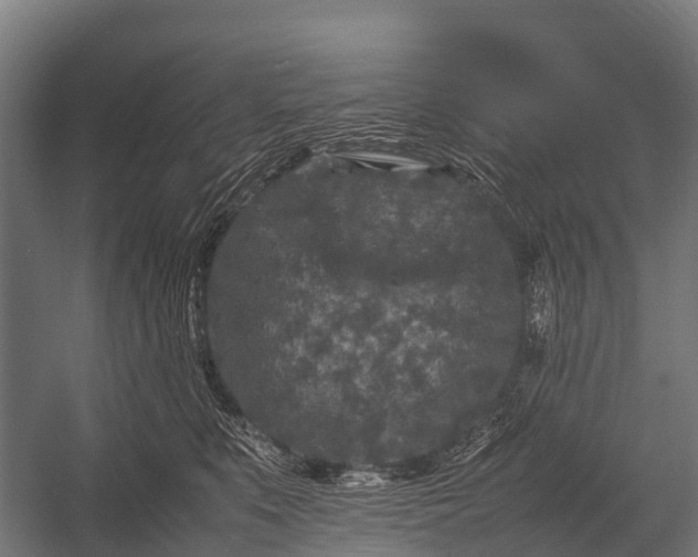 X0000053010519200507221317