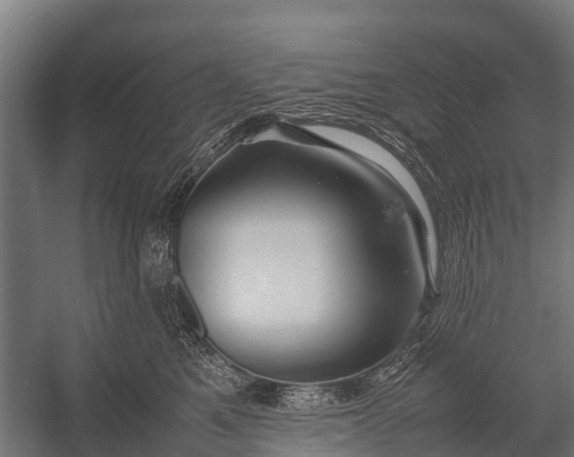 X0000053010521200507221316