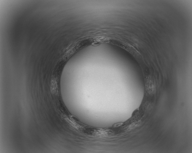 X0000053010523200507221316