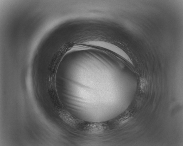 X0000053010524200507221316