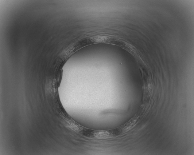 X0000053010525200507221316