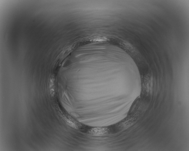 X0000053010526200507221316