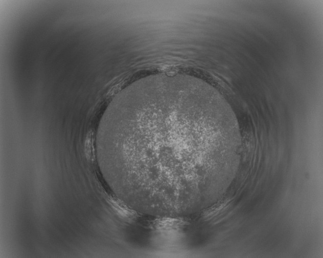 X0000053010527200507221316