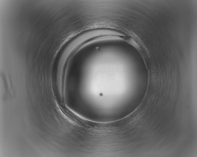 X0000053010530200507221316