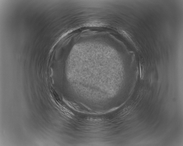 X0000053010531200507221316