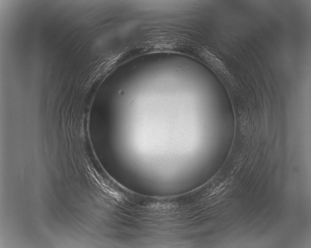 X0000053010537200507221316