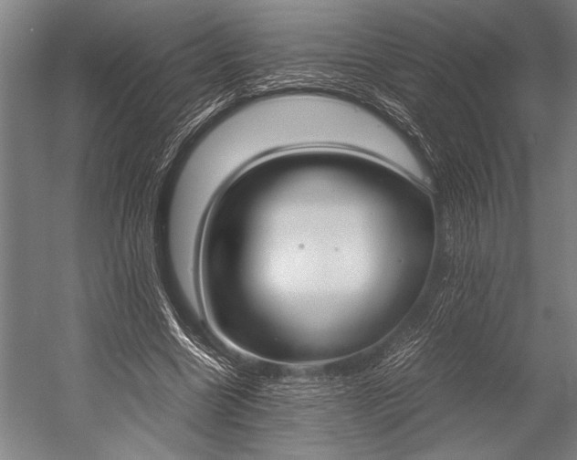 X0000053010538200507221316