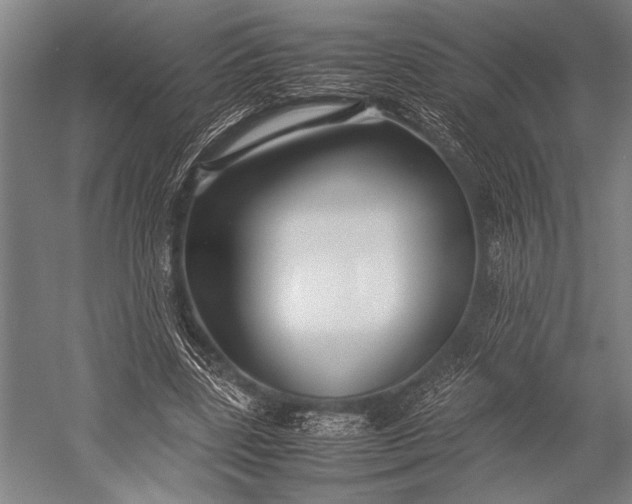 X0000053010539200507221316