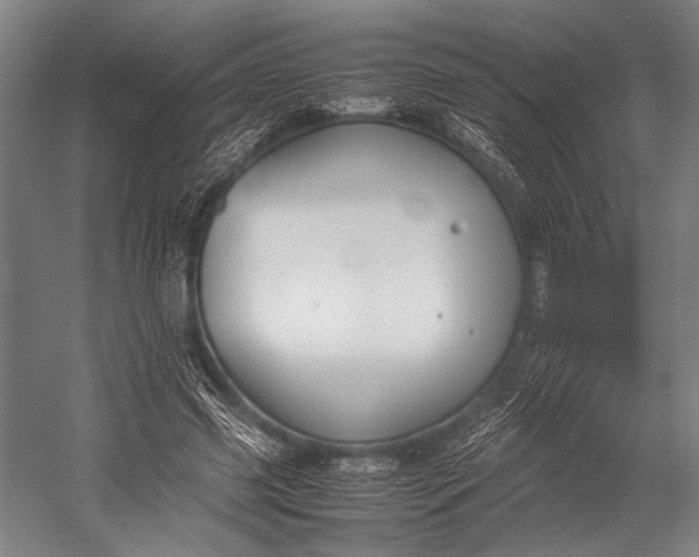 X0000053010541200507221316