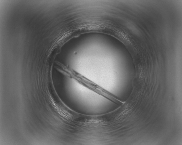 X0000053010542200507221316