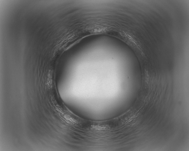 X0000053010545200507221316