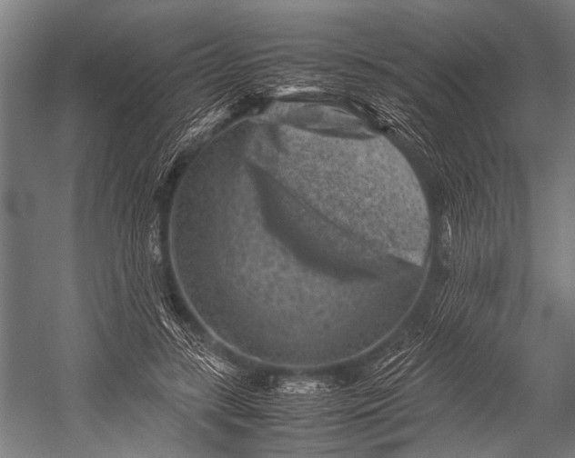 X0000053010547200507221316