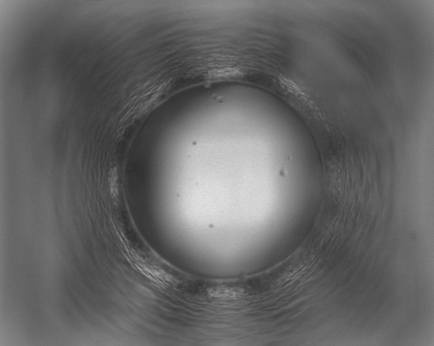 X0000053010549200507221316