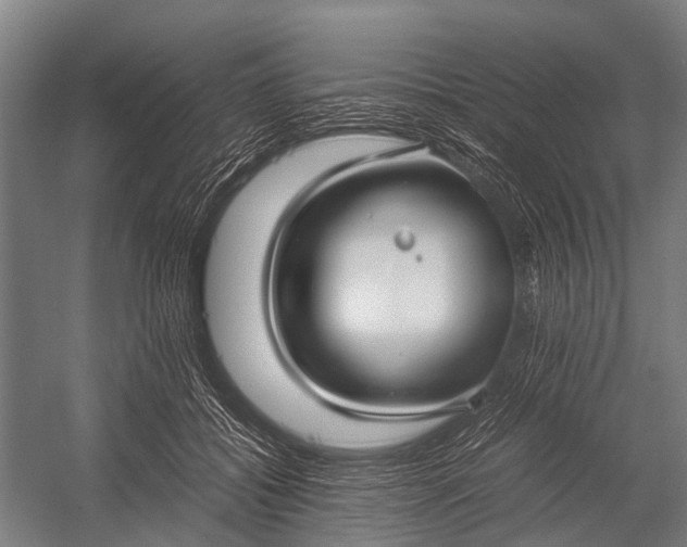 X0000053010556200507221316