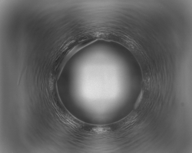 X0000053010558200507221316