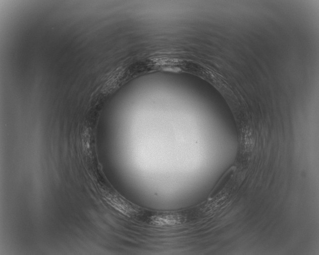 X0000053010567200507221316