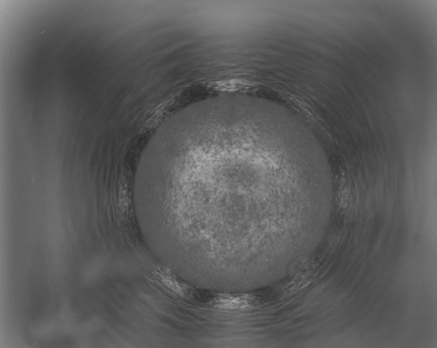 X0000053010569200507221316