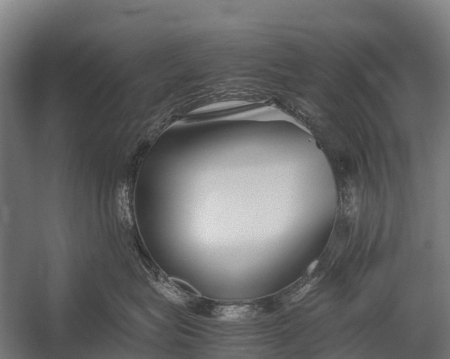 X0000053010575200507221316