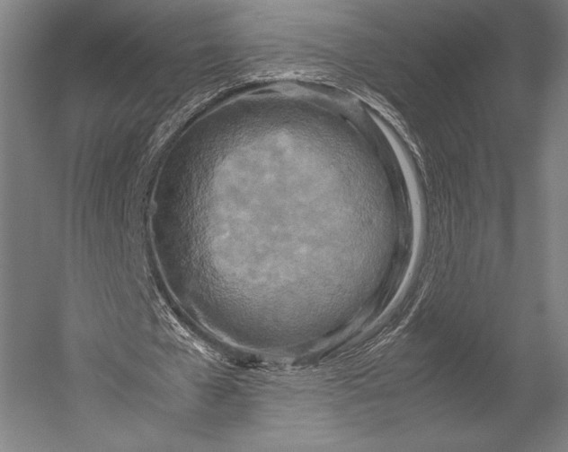 X0000053010577200507221316