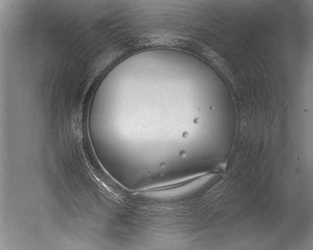 X0000053010578200507221316